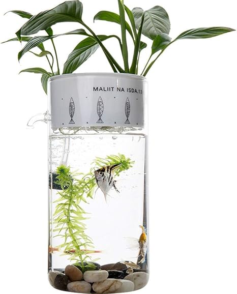 Amazon Co Jp 魚の水槽植物を育てる 野菜ウォーターガーデン 水族館植物水族館クリエイティブセルフクリーニングエコロジカルオフィスデスクトップミニガラスレイジー ホーム キッチン
