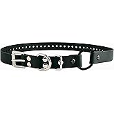 E-Collar Educator 1" Quick Snap Bungee Dog Collar, Black | 1" Quick Snap Bungee | Fits FE-580, ET-800 &amp; UL-1200 | 33" Cut-to-Fit | Waterproof Biothane | Black