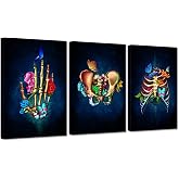 iHAPPYWALL 3 Piece Human Anatomy Set Wall Art Rib Cage Hand Skull Intestine Anatomy Organs Butterfly Flower Artwork for Medical Clinic Doctor Office Ready to Hang 16x24inchx3pcs