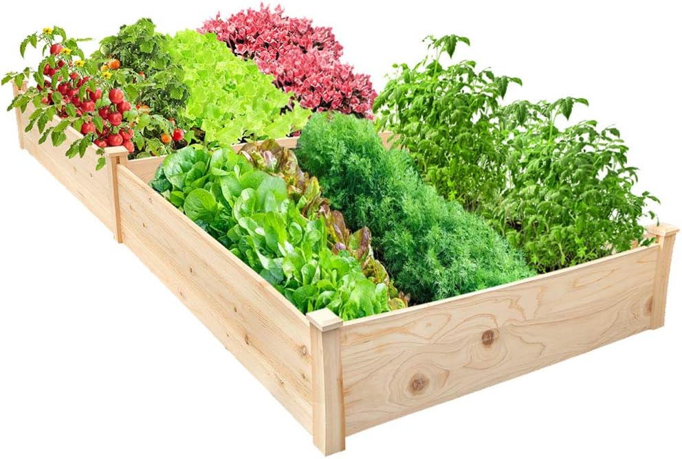 Raised Garden Bed 8x4FT Outdoor Planter Box Wooden Garden Bed for Vegetables Herb Grow,Yard Gardening