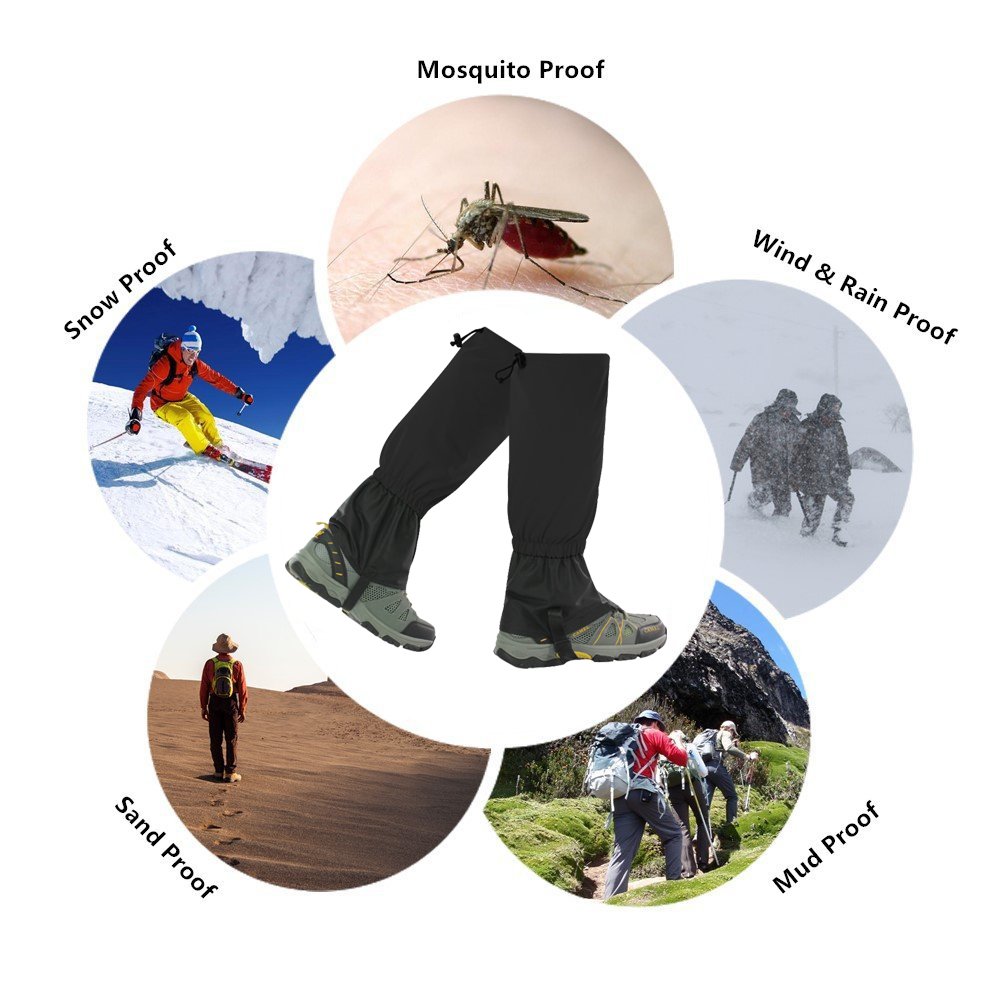 View 5