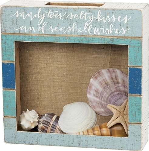 Primitives by Kathy Home Décor Shell Holder, 10
