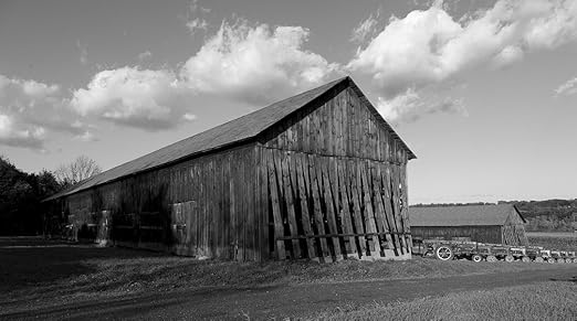Amazon Com Vintography 8 X 12 Black White Photo Tobacco Barns In