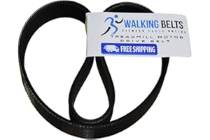 WALKINGBELTS Walking Belts LLC - Treadmill Flexonic Front Drive Pulley Motor Belt Size 8PJ556 + Free 1oz Lube