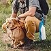 Boshel Dog Travel Water Bottle – Large Dog Water Bottle And Foldable Feeder - FDA Approved Compact Dog Water Dispenser With Spill Proof Lid - Portable Pet Water Bottle And Cat Water Bottle + Belt Hook