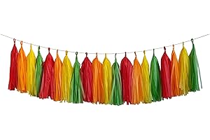 ZOOYOO Fiesta Tassel Garland Tissue Paper Tassel Banner,Table Decor,DIY Kits for Fiesta Party, Tassels Party Decoration,Pack of 20 - (Red/Orange/Yellow/Green)