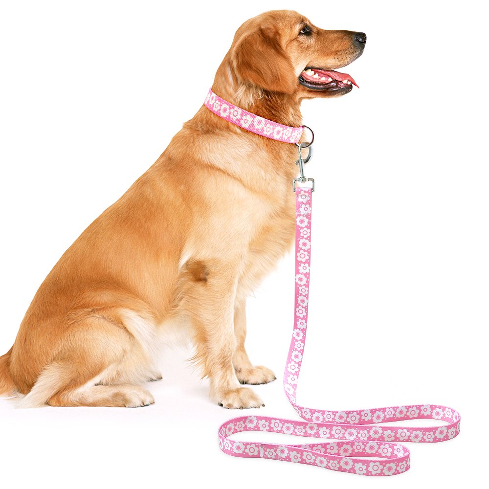 Higo Dog Leash - 6ft Long - 3mm Thick, Handle For Comfort - Heavy Duty Perfect Leashes for Dogs