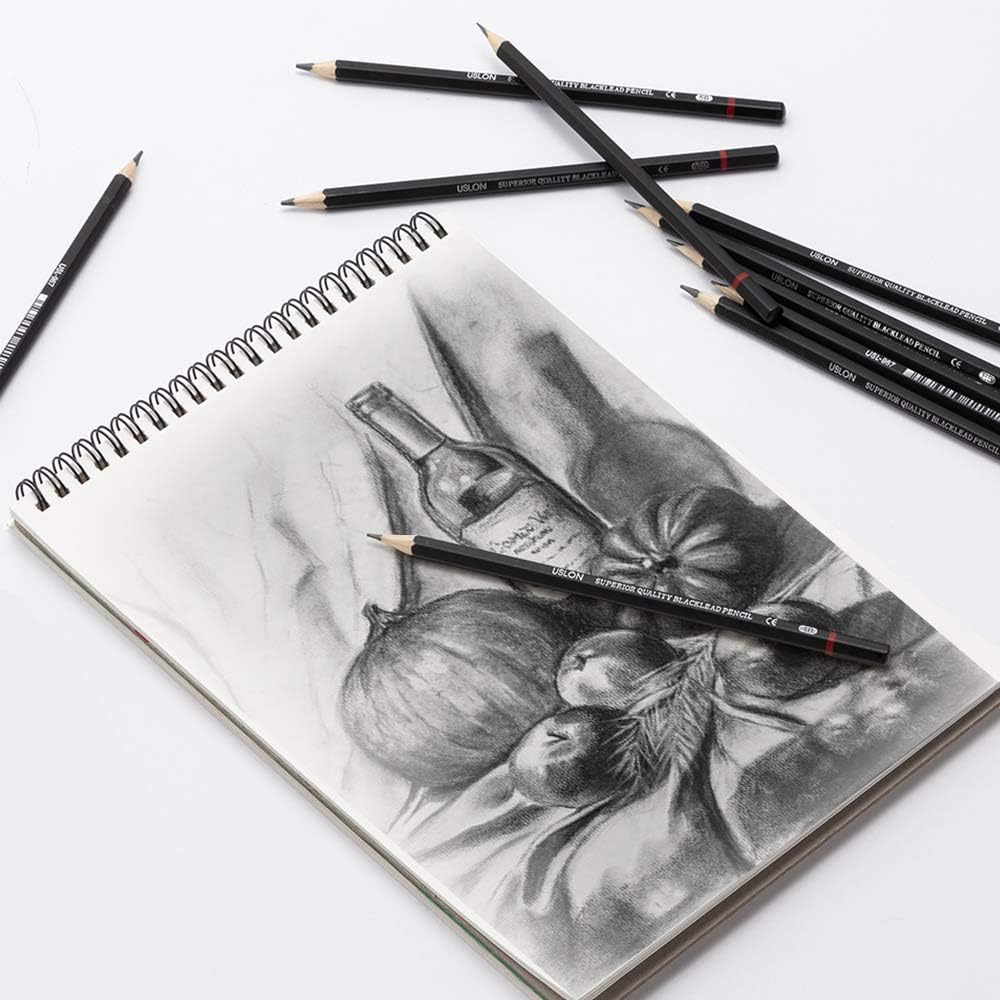 Professional Drawing Sketching Pencil Set - 12 Pieces Drawing Art Pencils (8B - 2H) Graphite Shading Pencils for Beginners & Pro Artists