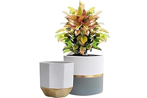LA JOLIE MUSE White Ceramic Flower Pot Garden Planters 6.7 Inch Pack 2 Indoor Plant Containers with Gold and Grey Detailing