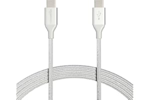 �鶹�� Basics Double Braided Nylon USB Type-C to Type-C 2.0 Charger Cable | 10 feet, Silver