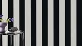 Rasch Just Me Paper Wallpaper Graphic Stripes Black Cream 286694 Made in Germany view 6