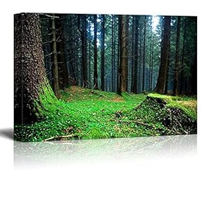 Canvas Prints Wall Art - Beautiful Scenery/Landscape Foggy Forest at The Morning at Autumn | Modern Wall Decor/Home Decoration Stretched Gallery Canvas Wrap Giclee Print & Ready to Hang - 12" x 18"