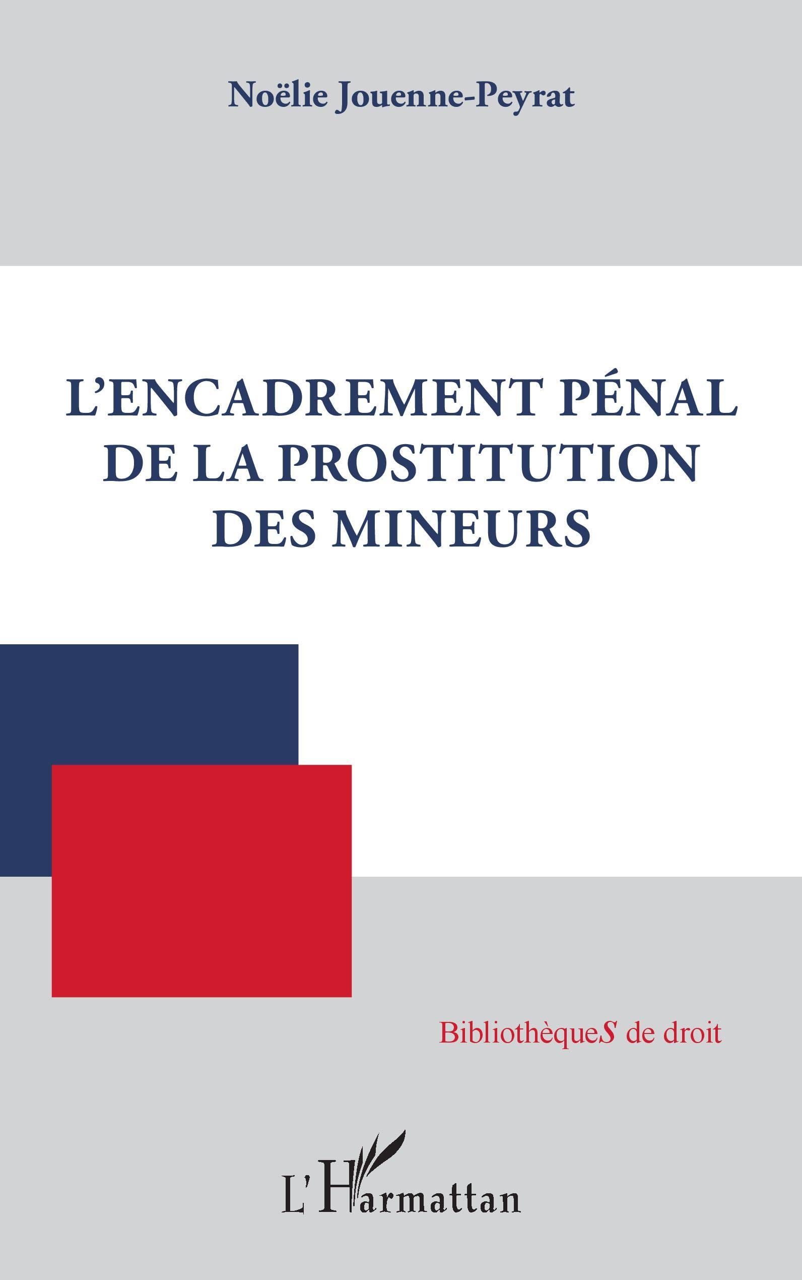 client prostituée penal