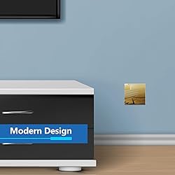LIDER Double Blank Wall Plate, Temperature and