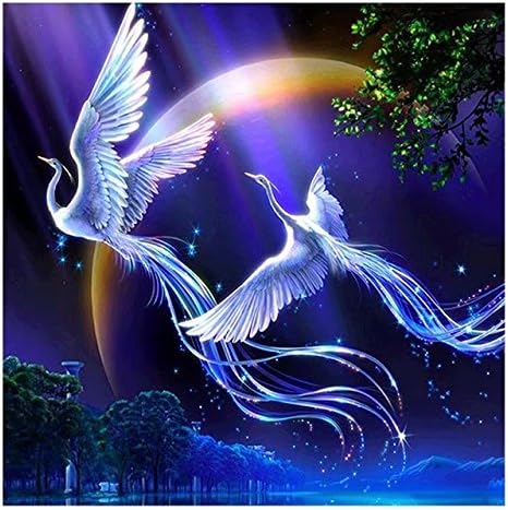 Crafts Graphy DIY 5D Painting with Diamonds Kits Full Drill for Adults - Couple Phoenix, 12 x 16 inches