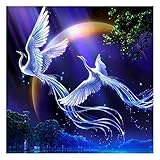Crafts Graphy DIY 5D Painting with Diamonds Kits Full Drill for Adults, Mothers Day Gift - Square Drill, Couple Phoenix, 12 x 16 inches