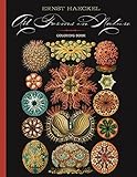 Ernst Haeckel: Art Forms in Nature Coloring Book by 