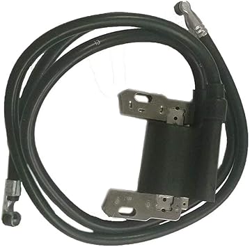 Amazon Com New Twin Cylinder Ignition Coil Module 16 18 Hp For Briggs Stratton 394891 Automotive