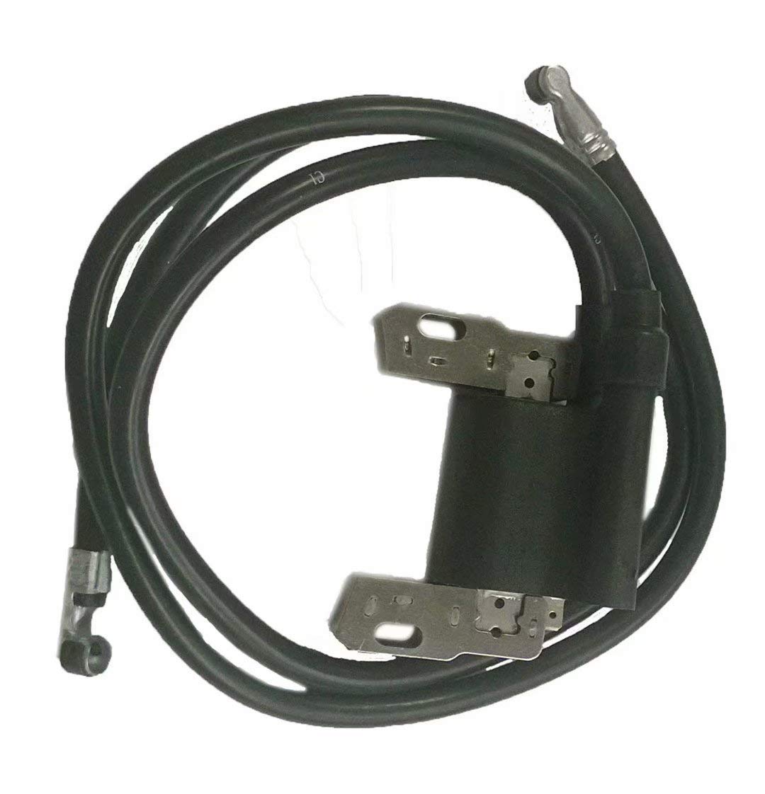 Best Briggs 460707 Lawn Mower Parts Ignition