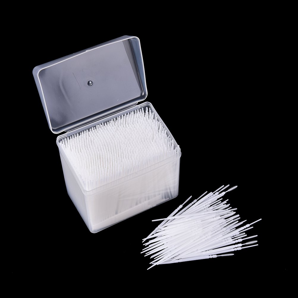 1100Pcs Disposable Plastic Toothpick Dental Picks Portable Practical Toothpick with Clear Case
