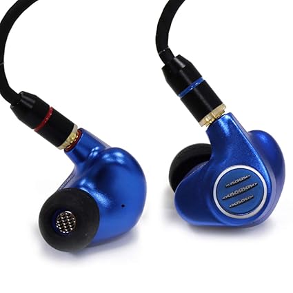 Linsoul BGVP DMS 6BA+1DD Hybrid Driver HiFi Audiophile: Amazon.in:  Electronics