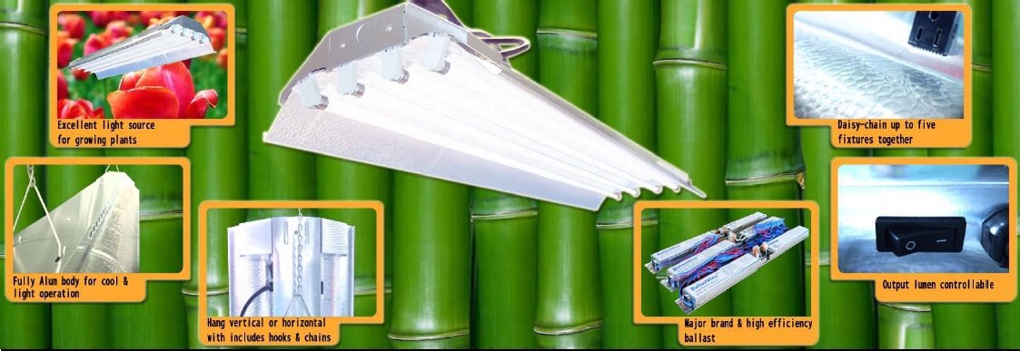 Watch The Daisy Chain Online Hollywoodreporter