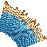 Paint Brushes 50 Pcs, heartybay Nylon Hair Brushes
