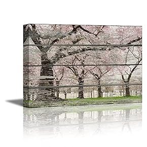 Canvas Prints Wall Art - Cherry Blossom in Spring on Vintage Wood Background Rustic Home Decoration - 12" x 18"