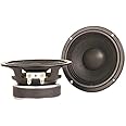 Eminence American Standard Alpha-4-4 (Pair) 4" Pro Audio Speakers, 55 Watts at 4 Ohms, Black
