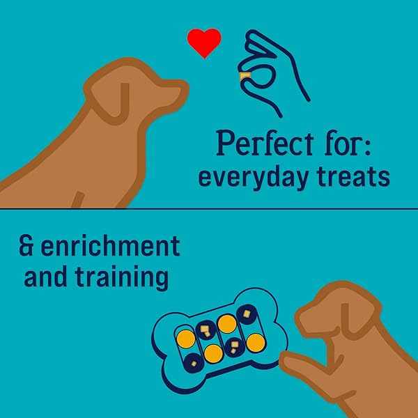 STEWART FREEZE DRIED DOG TREATS, SHINE SALMON & SWEET POTATO, MADE WITH OMEGA 3 & SALMON OIL, GRAIN FREE, 4 OUNCE RESEALABLE POUCH, MADE IN USA