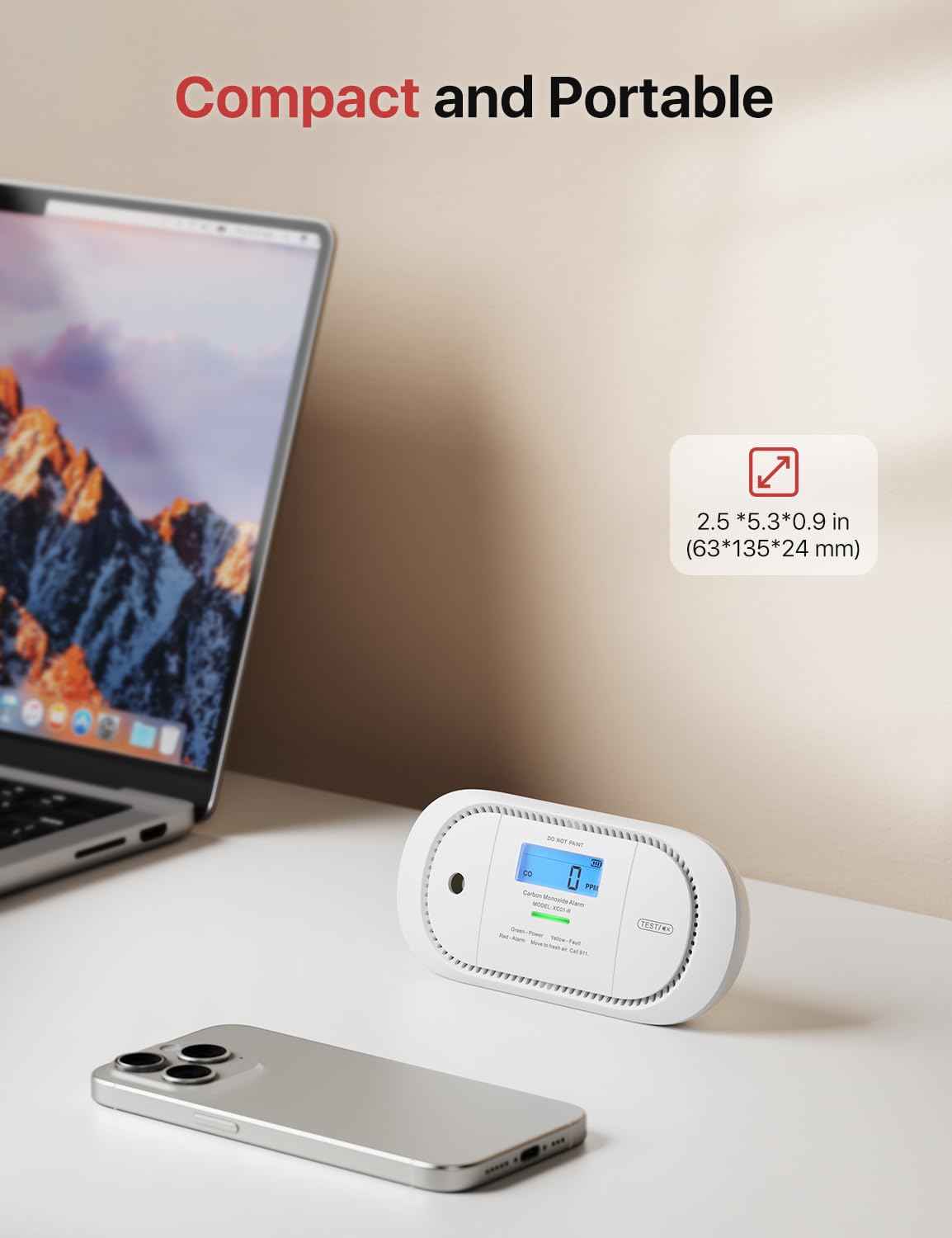 X-Sense Carbon Monoxide Detector Alarm with Digital LCD Display, Replaceable Battery CO Alarm Detector with Peak Value Memory, XC01-R