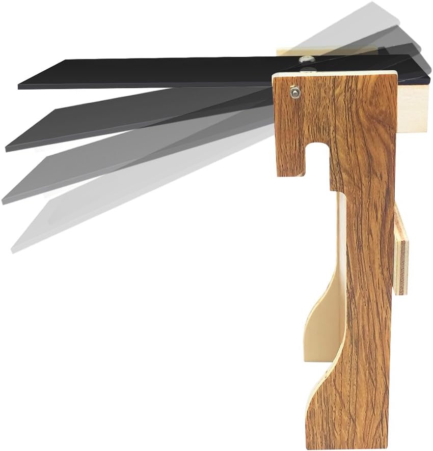 RAIOLATRAP Plank Mouse Trap, Humane Bucket Rat, Auto Reset, No Drilling Required, Kill or Live Catch Mice and Other Pests
