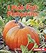 I Pick Fall Pumpkins (First Step Nonfiction _ Observing Fall) by Mary Lindeen