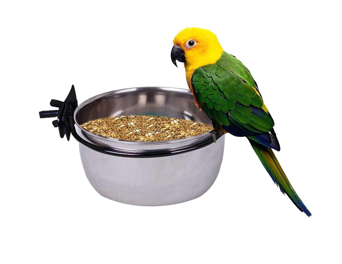 Pets Empire Stainless Steel Birds Coop Cup Feeder Bowl With Clamp