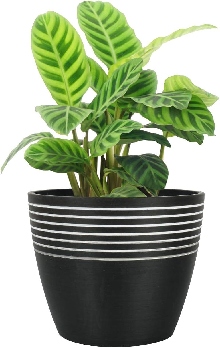 LA JOLIE MUSE Indoor Planter Flower Pot - Plant Pots for Indoor and Outdoor Plants, Contemporary Chic Planter with Stripe Pattern, 9.4 Inch, Charcoal & White : Garden & Outdoor