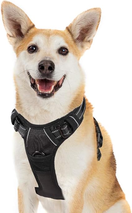 canine friendly life jacket