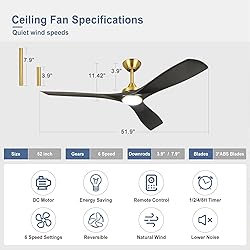 BvenuBigLite Modern Ceiling Fan with Light: Black