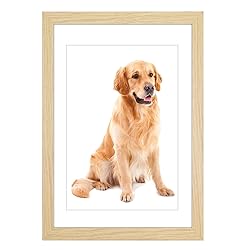 Solid Wood A2 Picture Frame 16.5x23.4 Black Poster