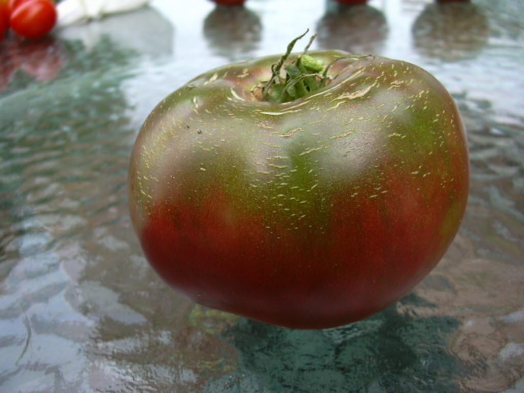 Black Seaman Heirloom Tomato Seeds from TomatoBob - non-GMO, open pollinated,