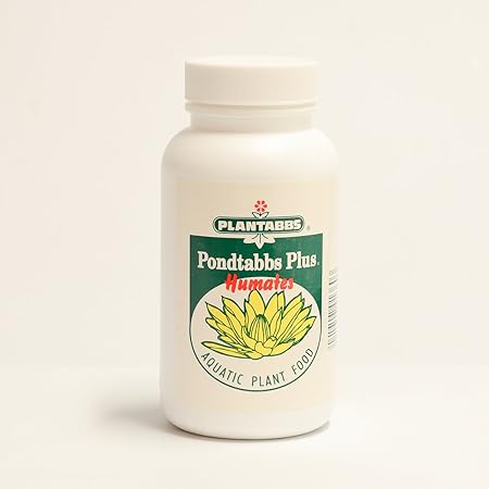 productos plus amazon