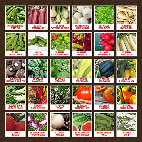 100 Organic Heirloom Seeds, 60 Varieties NonGMO Vegetable, Fruits