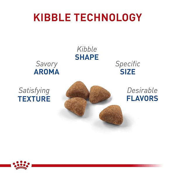 ROYAL CANIN FELINE HEALTH NUTRITION INDOOR ADULT DRY CAT FOOD, 7 LB BAG