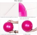 ZHIYE Mini Pilates Ball Yoga Exercise Core Fitness Bender 25cm Pink 80kg view 4