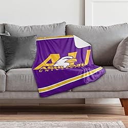 Ashland University Eagles Primary Logo Stripes