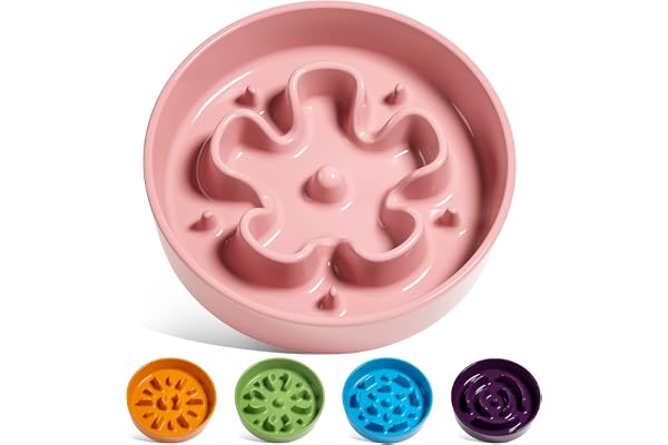 LE TAUCI Ceramic Slow Feeder Dog Bowls Small Breed, 0.6 Cups Dog Food Dish for Fast Eaters, Puzzle Bowl for Small Dogs and Ca