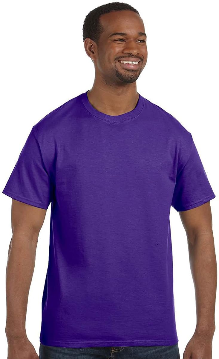 Best mens t shirts crew hanes lg