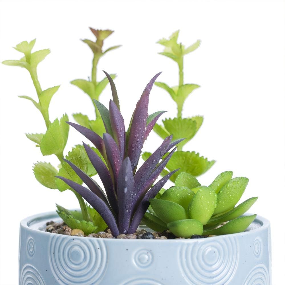Essential Oil Diffuser, Artificial Succulent Plants Potted Diffusers for Essential Oils with 7 Colors LED Light,Ceramic Cool Mist Super Quiet Aromatherapy Diffuser for Home Office Bedroom: Kitchen & Dining