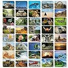 Set of 40 Variety Postcards Collection Assorted Pack Self Mailer Mailing Side Postcards 40 Different Designs, 1 of Each, 40 Pack Postage Saver - 4 x 6 Inches
