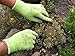 WILDFLOWER Tools Gardening Gloves for Women and Men - Nitrile Coating for Protection (Medium, Purple Pair/Green Pair with White Cuff Hem)