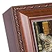 Cottage Garden Cat Sleeping in Library Woodgrain Rope Trim Music Box Plays That's What Friends are for